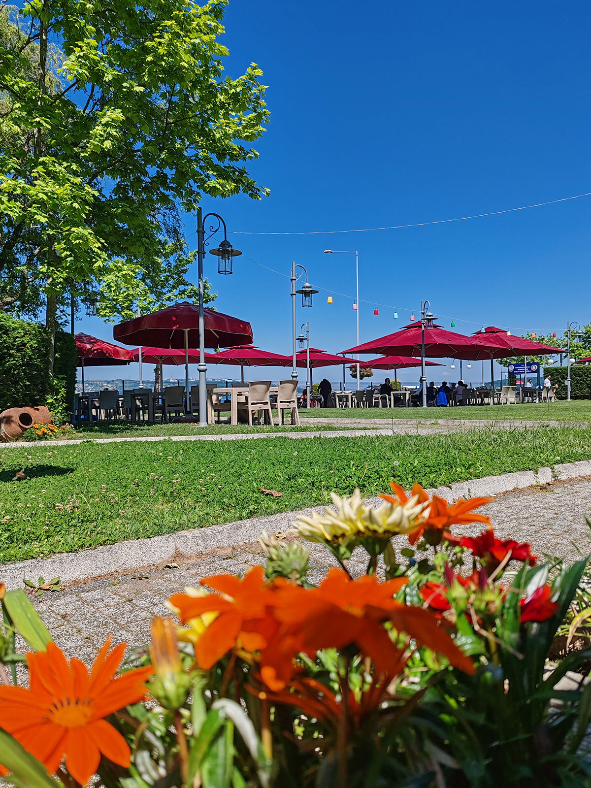 Sapanca Polis Aile Çay Bahçesi